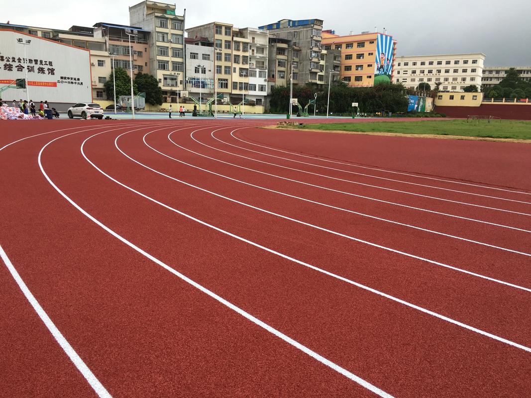孝感市EPDM颗粒塑胶跑道材料 - 方案
